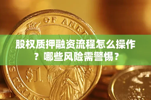 济南股权质押融资流程怎么操作？哪些风险需警惕？