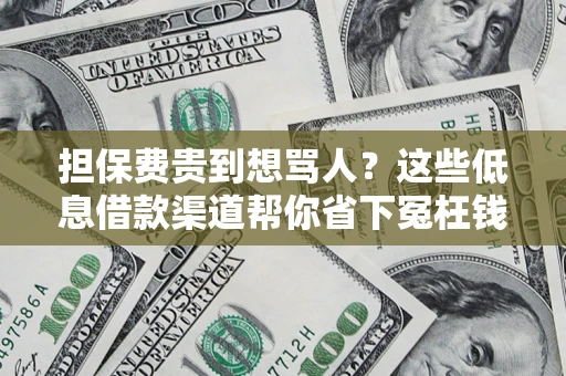 济南担保费贵到想骂人？这些低息借款渠道帮你省下冤枉钱