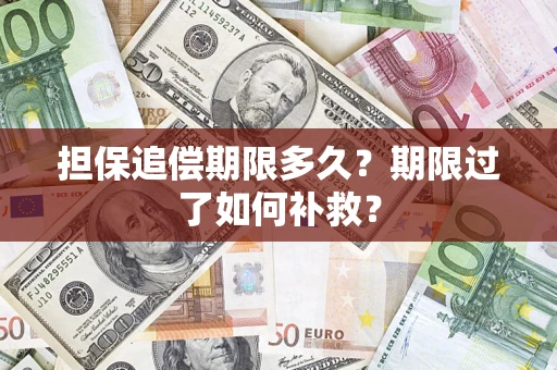济南担保追偿期限多久？期限过了如何补救？