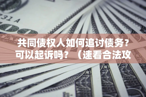 济南共同债权人如何追讨债务？可以起诉吗？（速看合法攻略）